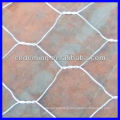 galvanized stone gabion ( big factory & exporter )